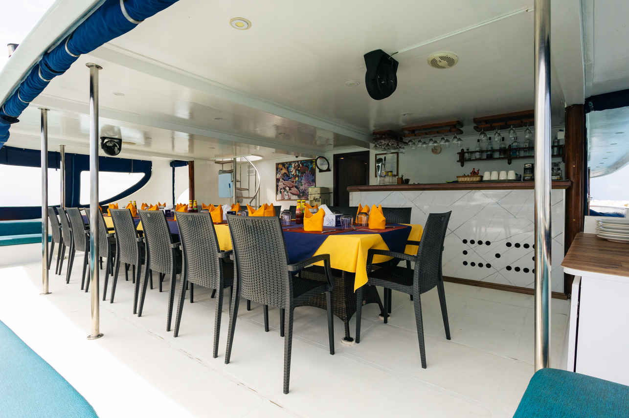 Comedor al Aire Libre - Carpe Diem