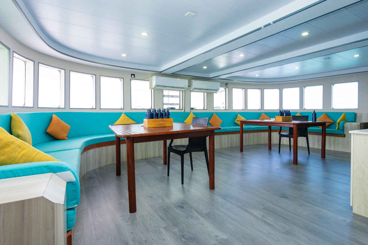 Salon interior - Carpe Diem