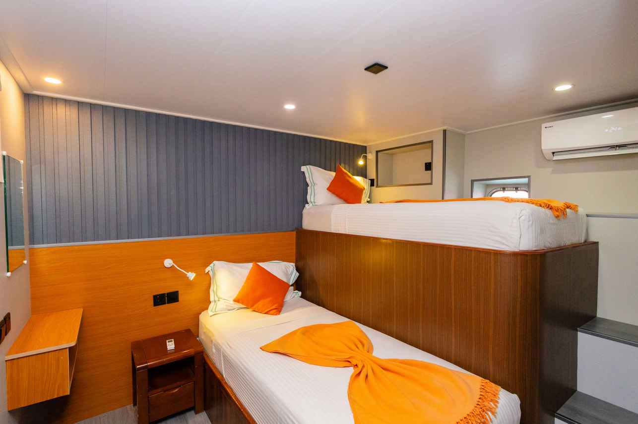 #standardbunkcabin - Carpe Diem