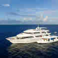 Carpe Diem