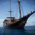 Cruise Indonesia onboard Euphoria Liveaboard