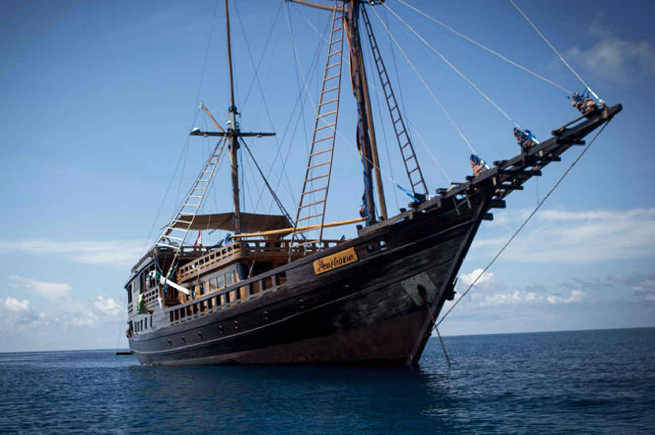 Cruise Indonesia onboard Euphoria Liveaboard