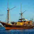 Euphoria Liveaboard cruising Raja Ampat Indonesia