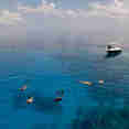 Snorkelling - Scubaspa Yin