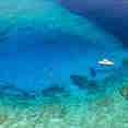 Snorkelling - Scubaspa Yin