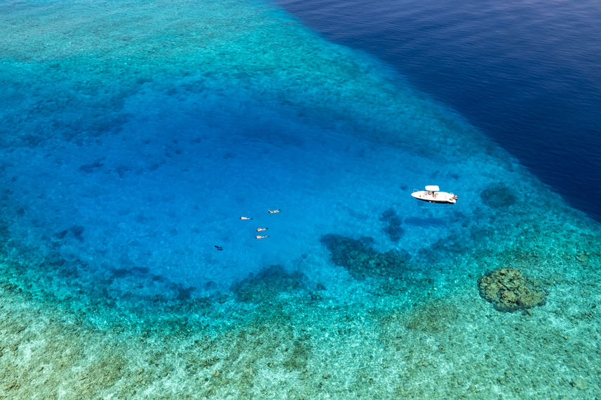 Snorkelling - Scubaspa Yin