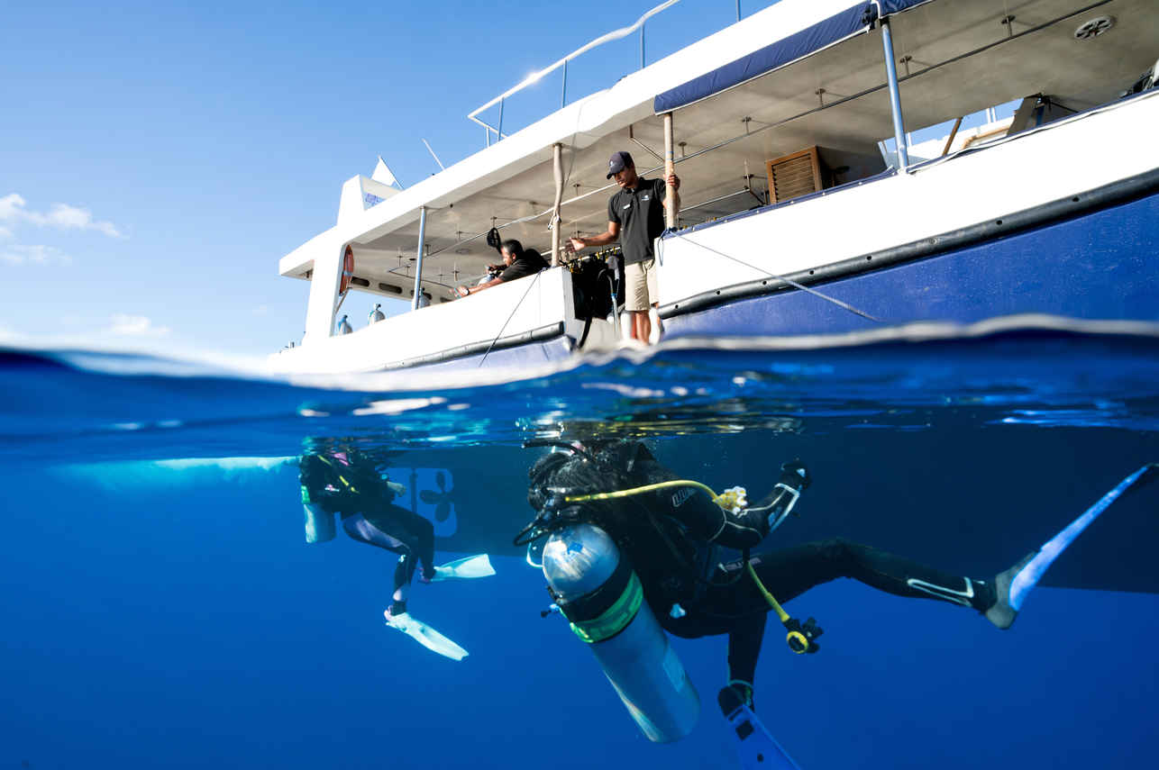 #divingdhoni - Scubaspa Yin