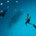 Diving - Scubaspa Ying