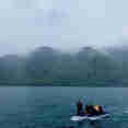 Tenders for diving - Infiniti