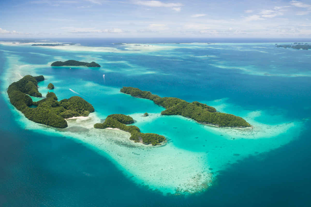 Island View -  Palau Siren