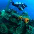 Wreck Diving - Palau Siren