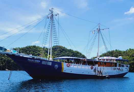 Palau Siren