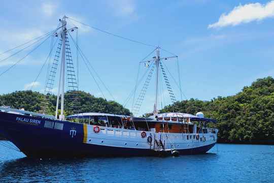 Palau Siren