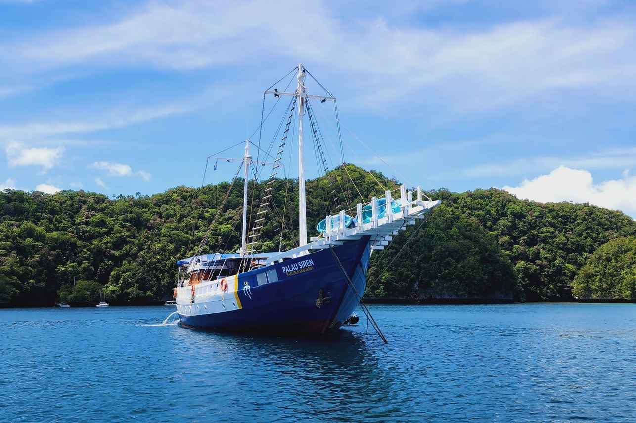 Palau Siren