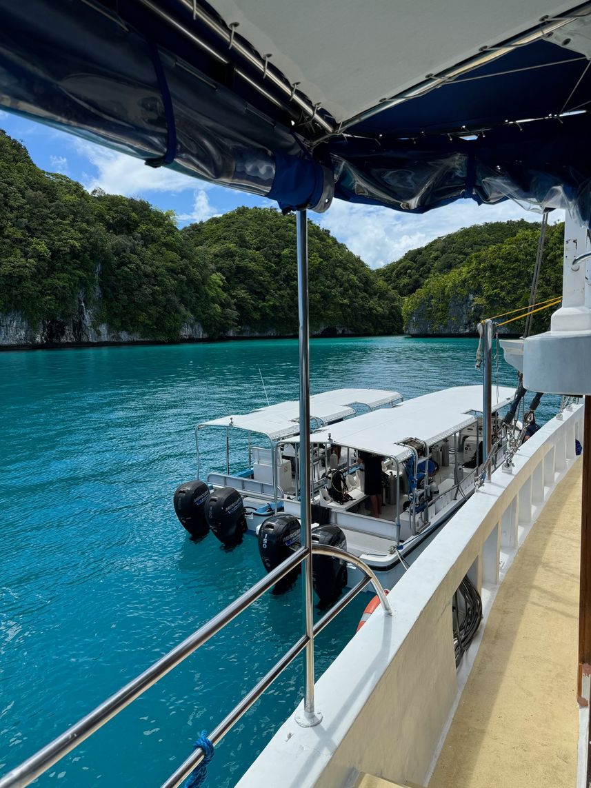 Diving Dhoni - Palau Siren