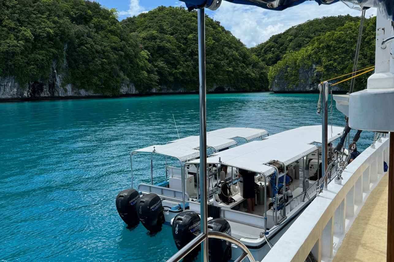 Dhoni - Palau Siren