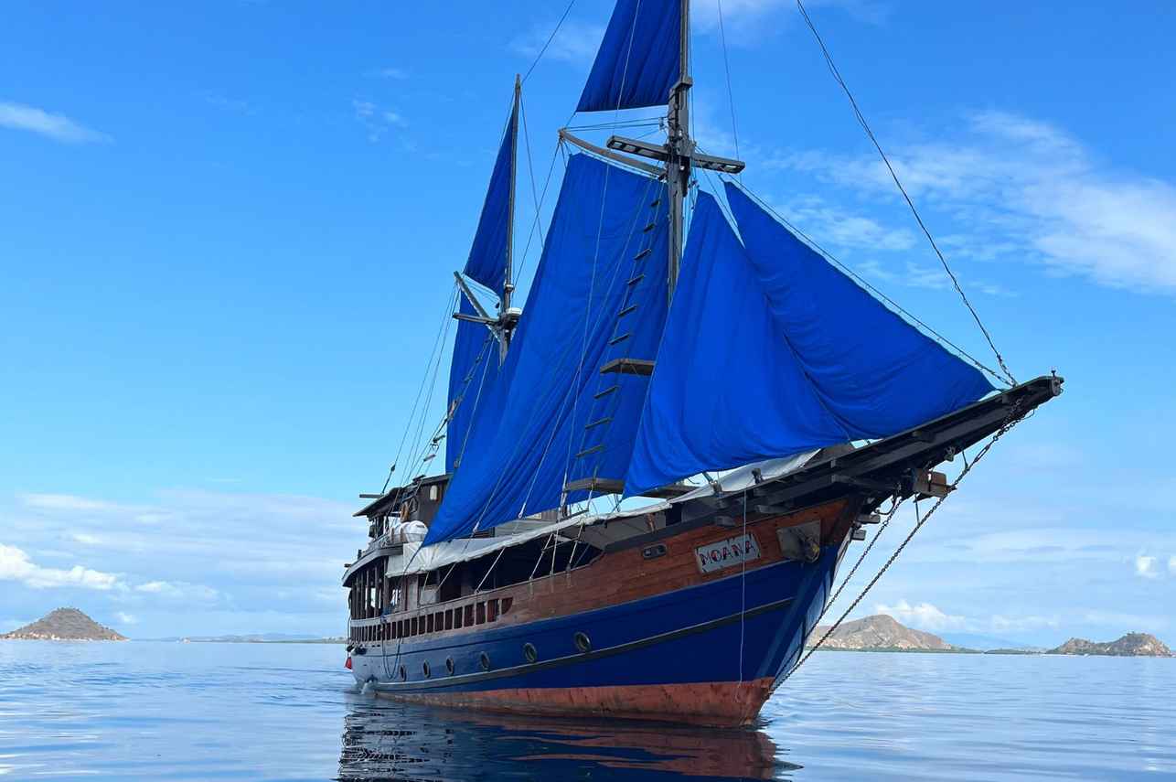 Moana
