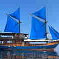Moana