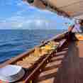 Food on board - Moana
