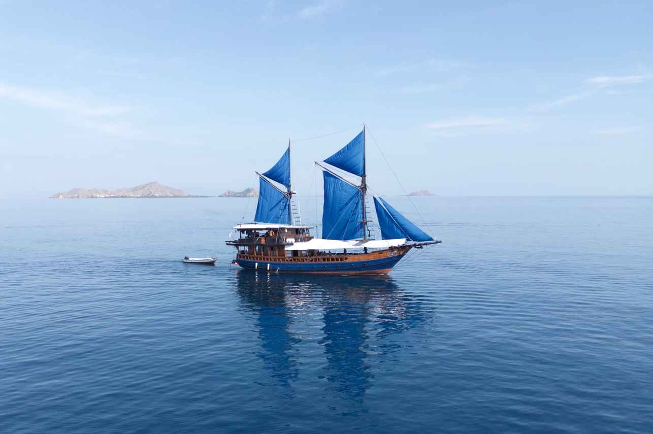 Moana