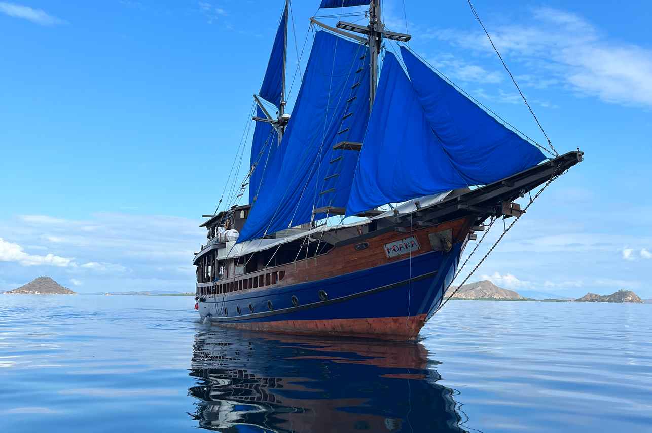 Moana