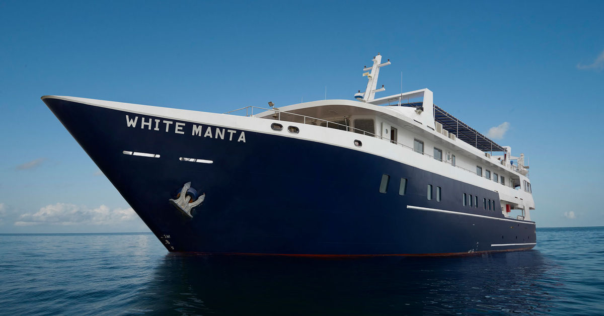 White Manta — vessel photograph