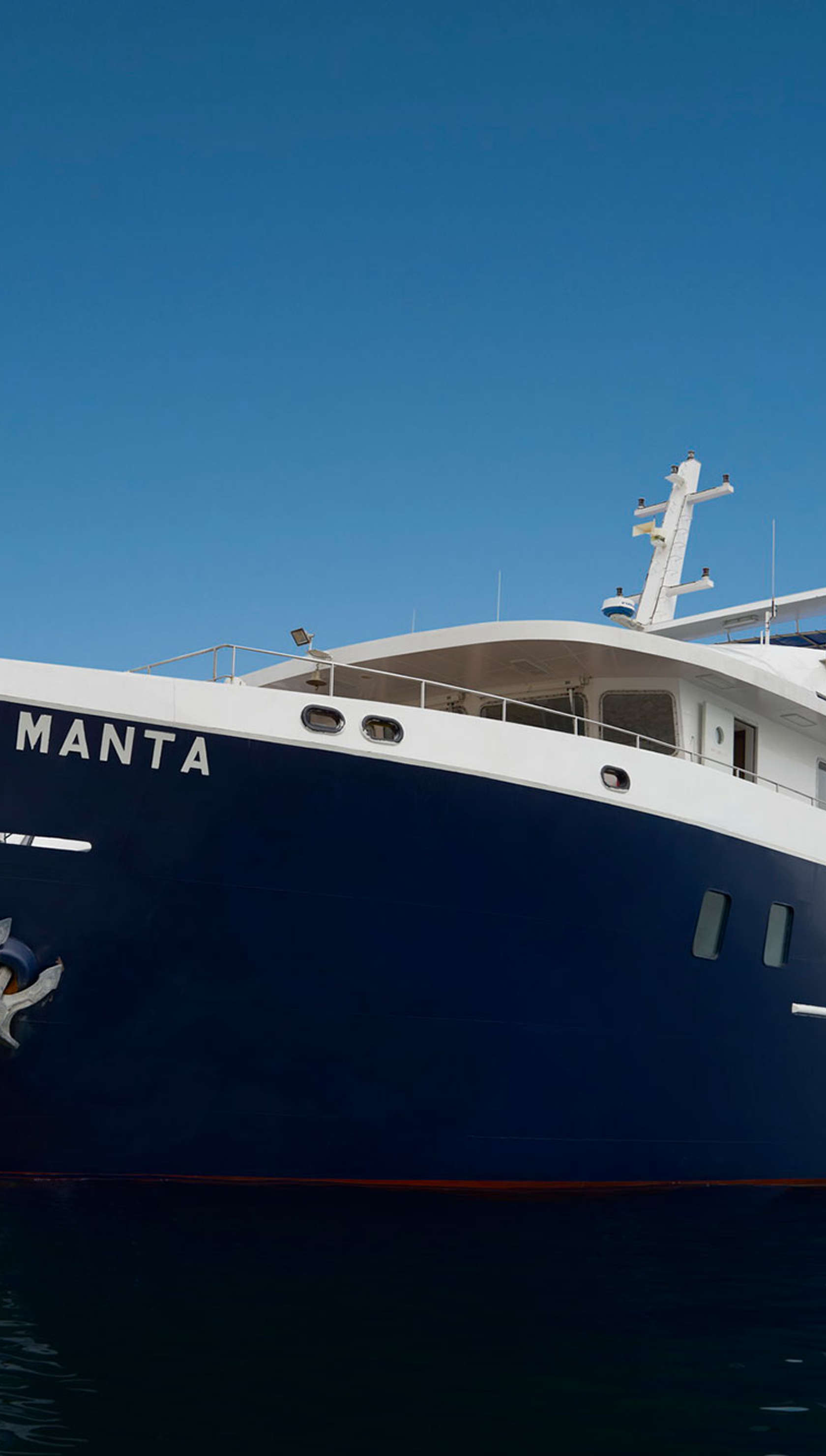White Manta