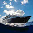 White Manta