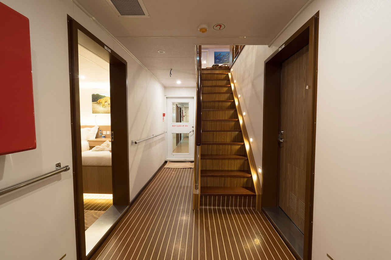Stairway - White Manta
