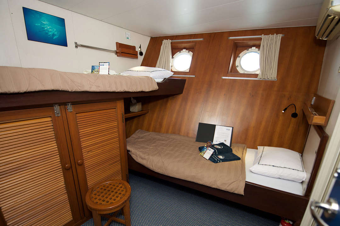 two twin beds