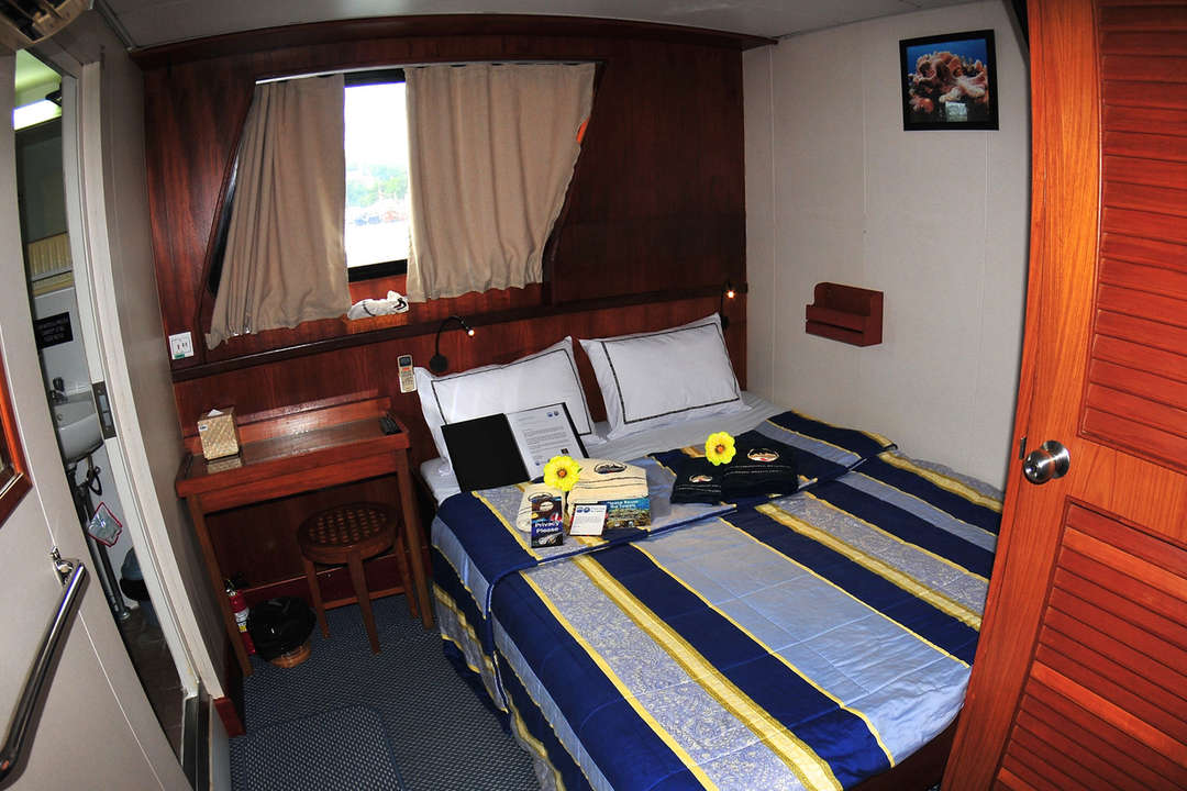 Master Cabin