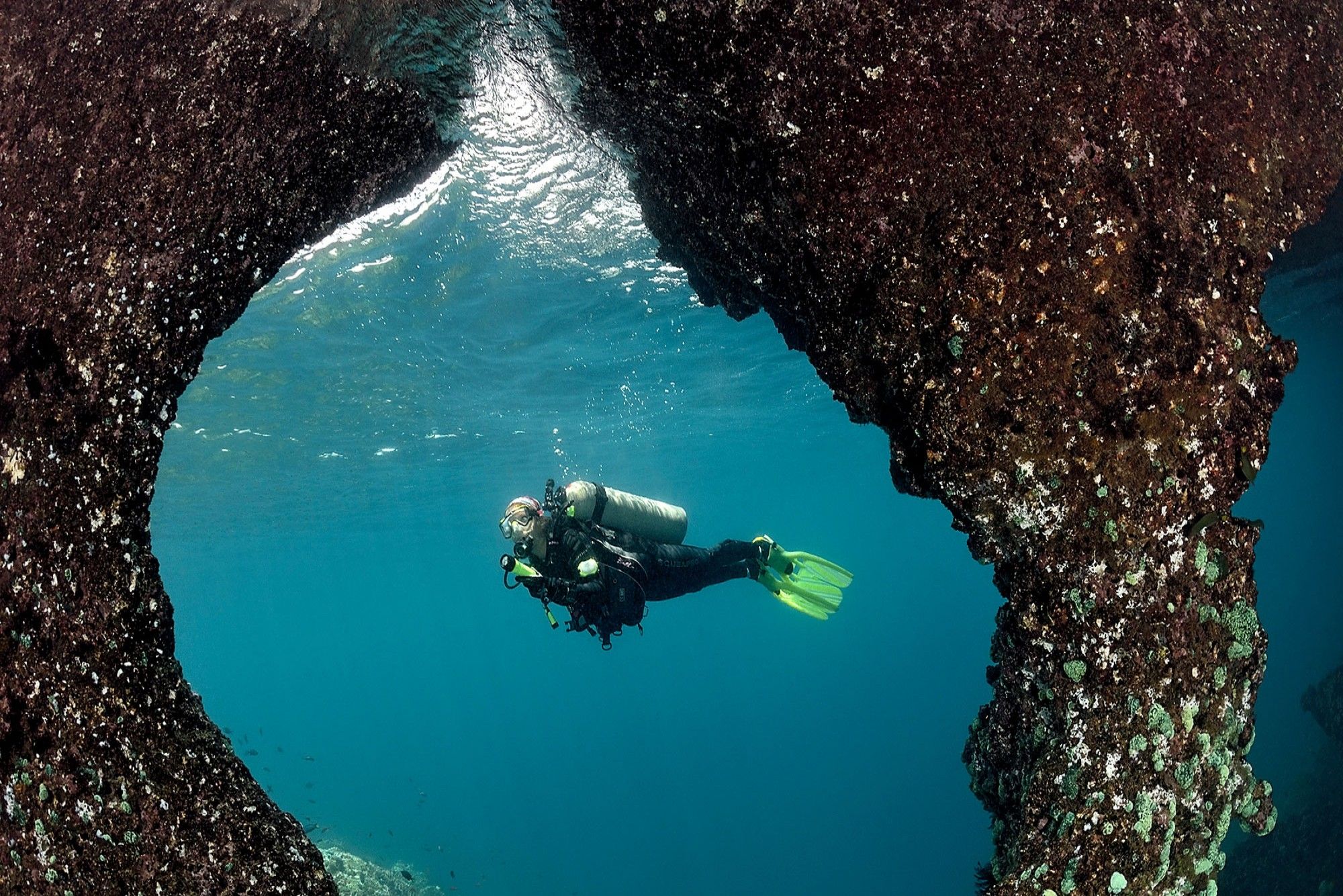 Raja Ampat Aggressorダイブクルーズ, インドネシア - LiveAboard.com