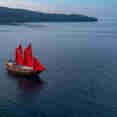Calico Jack