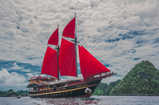Calico Jack