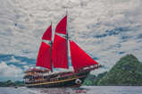 Calico Jack