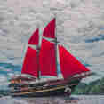 Calico Jack