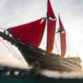 Calico Jack