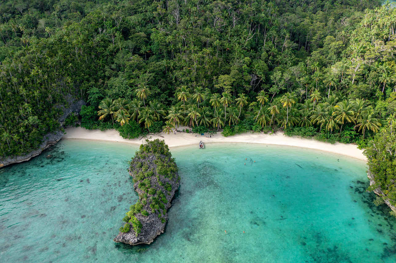 Esplorazione dell'isola - Calico Jack