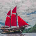 Calico Jack