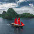 Calico Jack