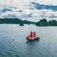 Calico Jack