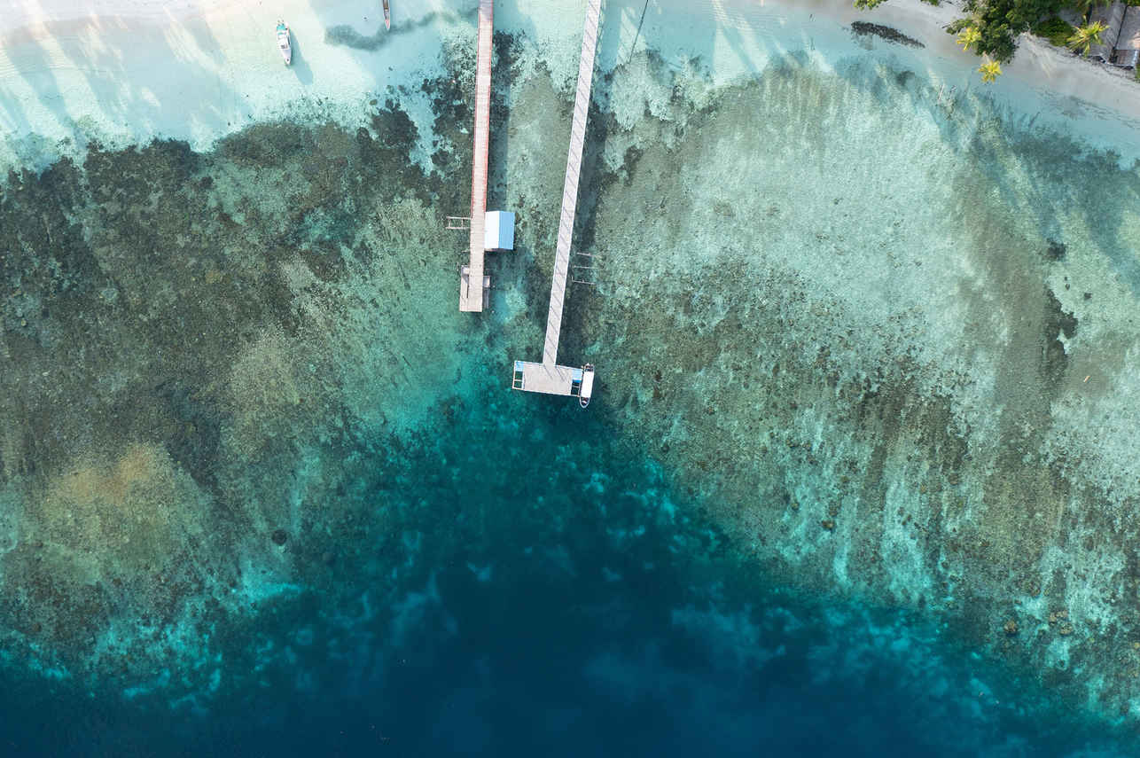 Esplorazione dell'isola - Calico Jack