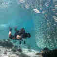 Diving