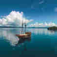 Calico Jack
