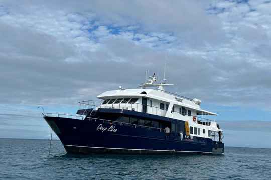 Galapagos Master