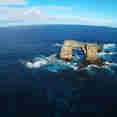 Darwin Island