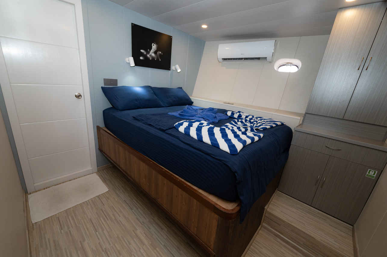 Lower Deck Cabin - Emperor Voyager