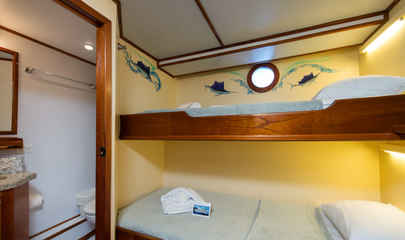 Lower Deck Twin Bunk-Style