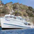 Sea Hunter