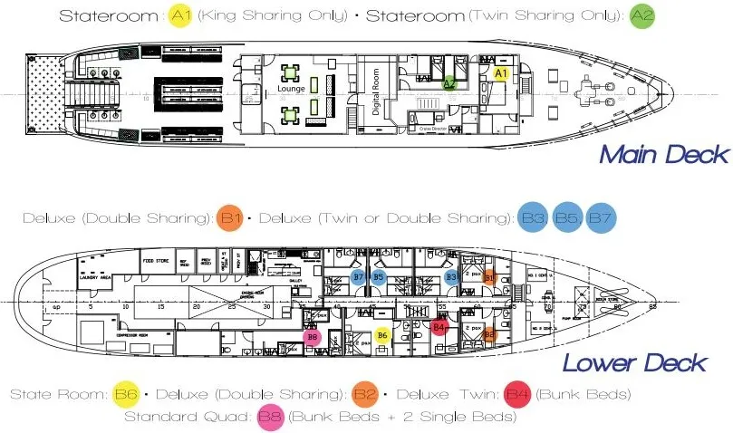 disposizione del ponte